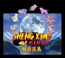 Sheng Xiao Bingo