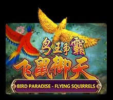 Bird Paradise